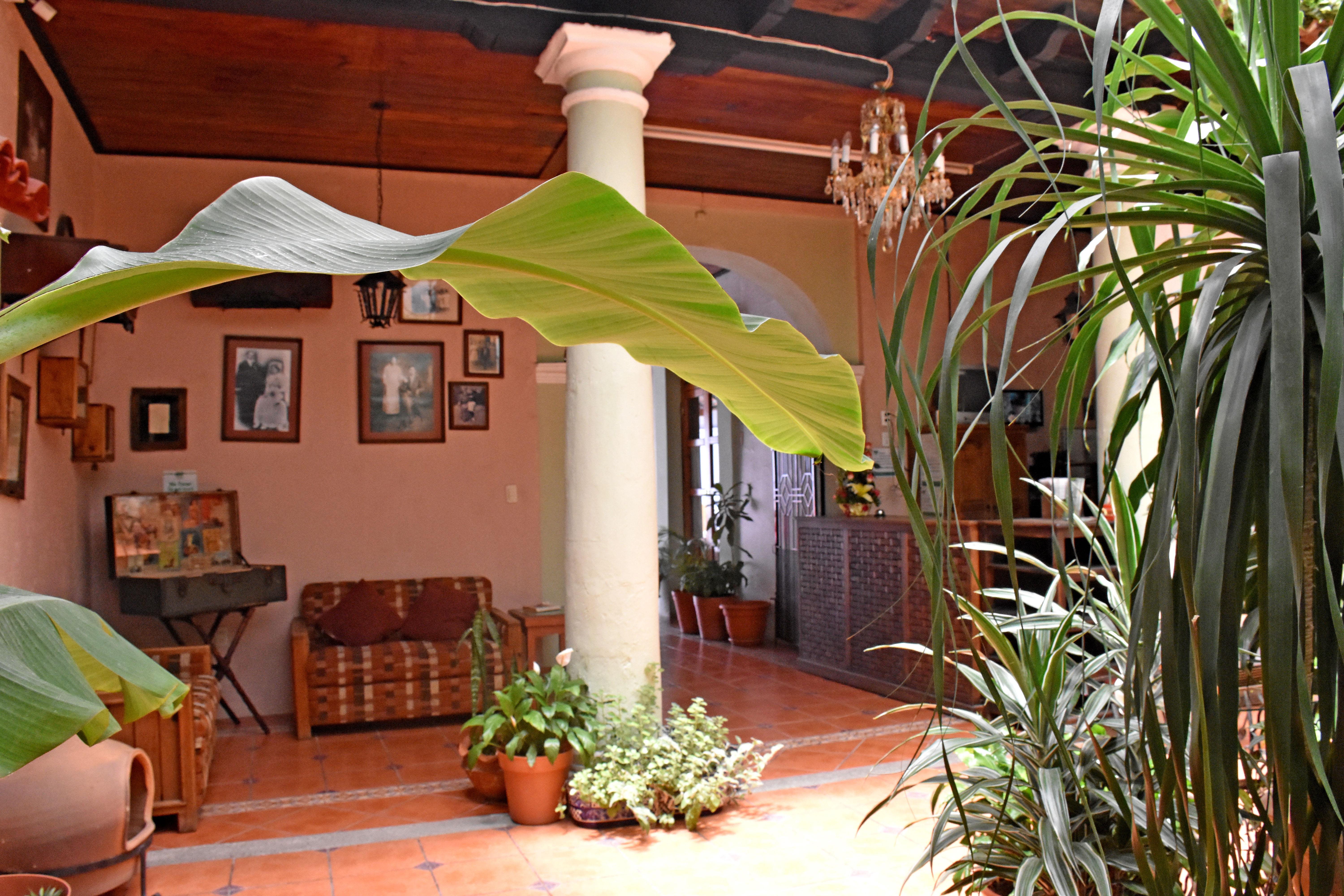 Hotel San Luis San Cristóbal de Las Casas Exterior foto